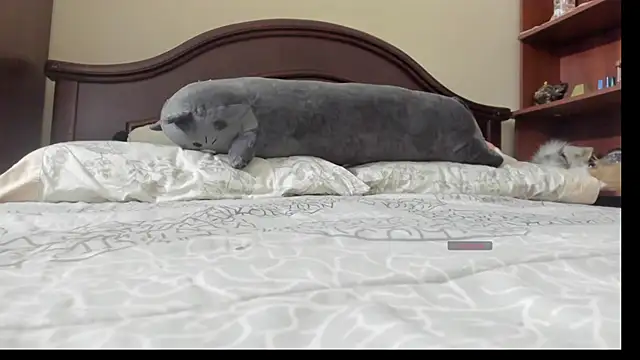 Snapshot of linnie_ chatting on February 2, 2026, 2:32 am linnie online show from February 2, 2026, 2:32 am