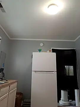 T92bbc online show from March 23, 2026, 2:10 pm