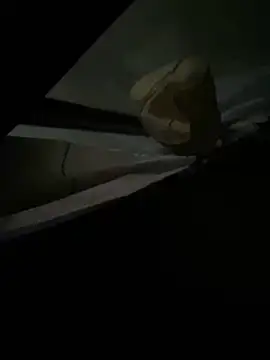 Snapshot of xxkingxx420 chatting on December 16, 2024, 7:00 pm xxkingxx420 online show from December 16, 2024, 7:00 pm