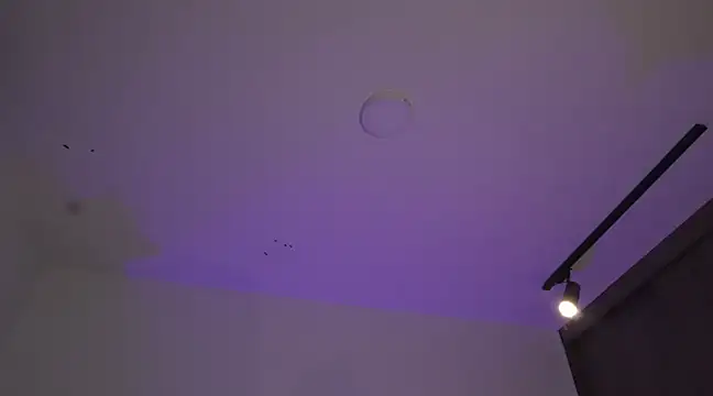 appolo allen online show from March 17, 2025, 7:24 am