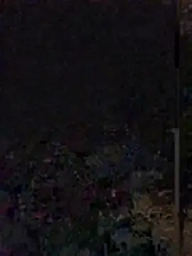 Yoko0381 online show from June 12, 2026, 5:39 am