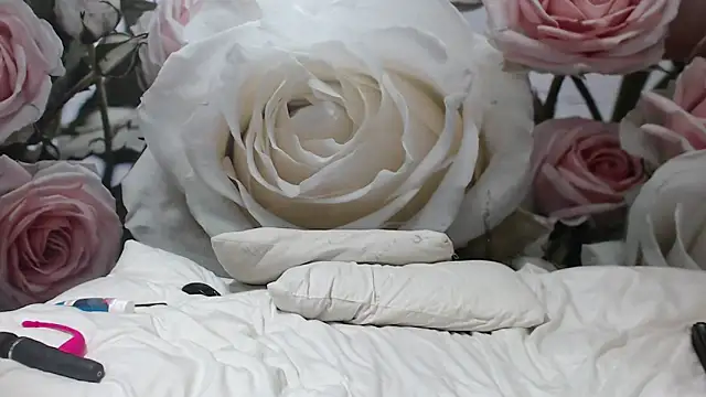 Sexysilverfoxxx online show from December 3, 2024, 4:03 am