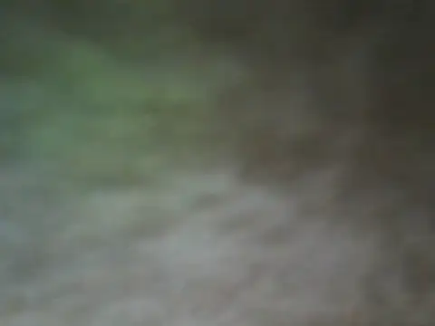 Snapshot of ShivamFactor3 chatting on November 28, 2025, 5:48 pm ShivamFactor3 online show from November 28, 2025, 5:48 pm