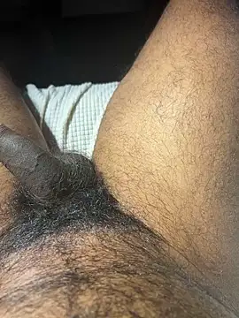 Snapshot of carlossdfr chatting on December 2, 2024, 11:29 pm carlossdfr online show from December 2, 2024, 11:29 pm