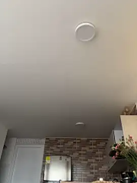 SofiaG  online show from February 1, 2026, 7:45 pm