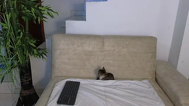 Lorenne Miller online show from October 26, 2025, 5:24 am