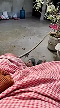 Snapshot of biharihotlund chatting on January 19, 2025, 6:53 am biharihotlund online show from January 19, 2025, 6:53 am