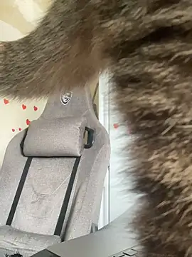 Snapshot of GraceTorrez chatting on March 21, 2025, 6:05 am GraceTorrez online show from March 21, 2025, 6:05 am