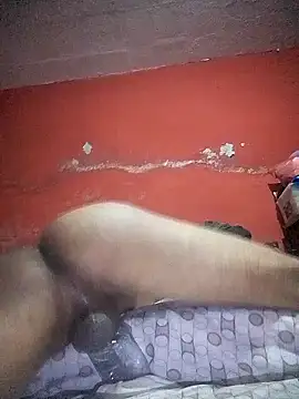 Snapshot of VL25DN26 chatting on December 22, 2024, 1:33 pm VL25DN26 online show from December 22, 2024, 1:33 pm