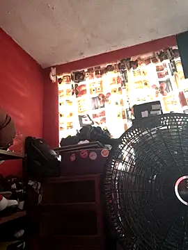 Snapshot of VL25DN26 chatting on November 7, 2025, 4:51 pm VL25DN26 online show from November 7, 2025, 4:51 pm