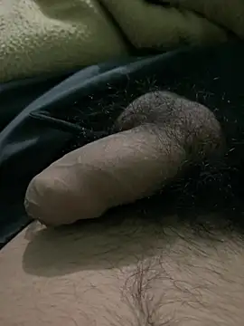 Snapshot of charming_dick15 chatting on December 24, 2024, 1:50 pm charming dick15 online show from December 24, 2024, 1:50 pm