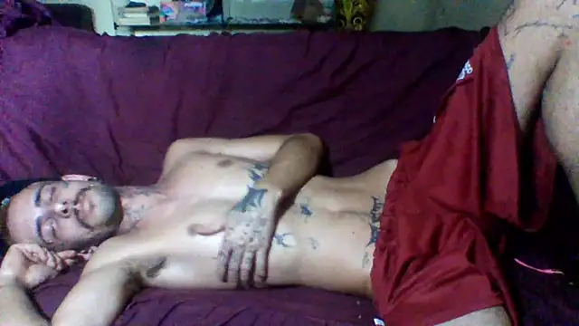 sellvageria online show from December 13, 2025, 8:25 pm