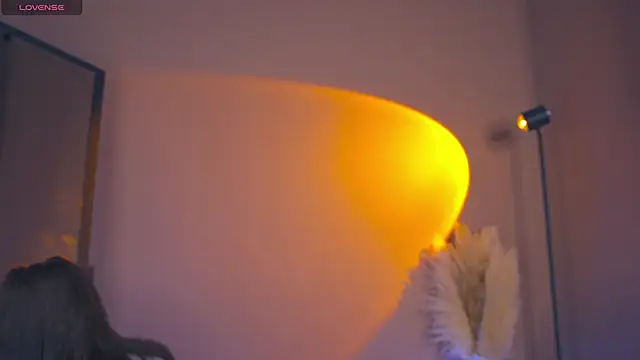 Snapshot of FairyFlutter chatting on December 20, 2024, 3:21 pm FairyFlutter online show from December 20, 2024, 3:21 pm