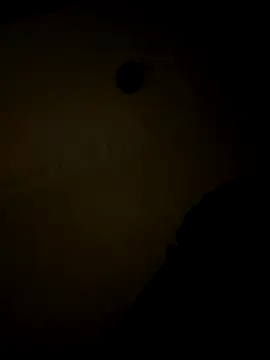 sluttydylan online show from December 17, 2025, 9:04 am