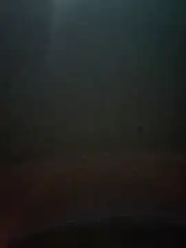 Snapshot of cumshotboy01 chatting on December 16, 2024, 3:54 pm cumshotboy01 online show from December 16, 2024, 3:54 pm