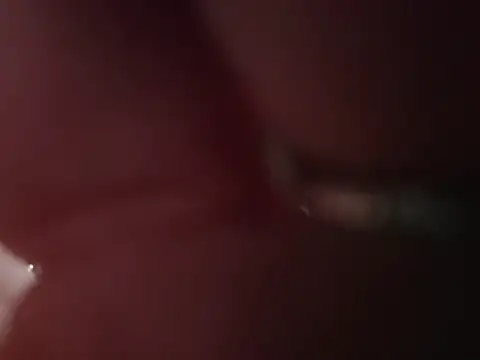 ILUV2TUCHMYKITTY online show from February 26, 2026, 2:49 pm