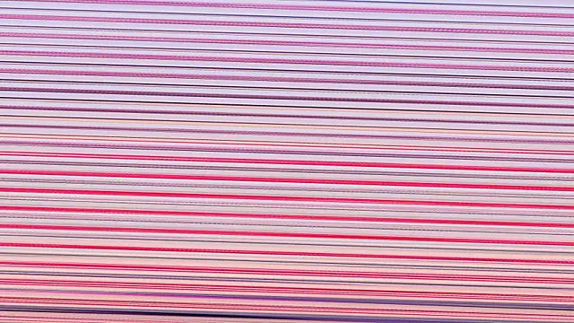 Snapshot of Annieefoxx chatting on November 7, 2025, 2:50 pm Annieefoxx online show from November 7, 2025, 2:50 pm