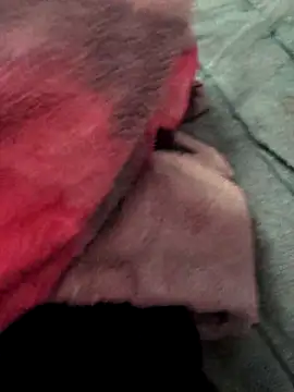 Snapshot of kumarisoni chatting on December 5, 2025, 7:17 am kumarisoni online show from December 5, 2025, 7:17 am