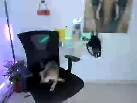 Snapshot of nairobbits chatting on October 9, 2025, 1:09 pm nairobbits online show from October 9, 2025, 1:09 pm