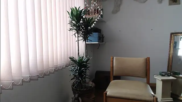 Siriss boyrag online show from October 11, 2025, 2:48 pm