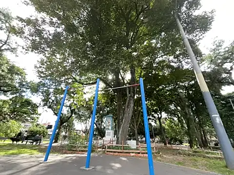 Siriss boyrag online show from February 20, 2026, 8:53 pm