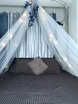 Bold-Cat online show from February 18, 2026, 5:53 pm