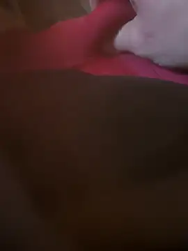 Snapshot of Fjome chatting on November 15, 2025, 8:00 am Fjome online show from November 15, 2025, 8:00 am