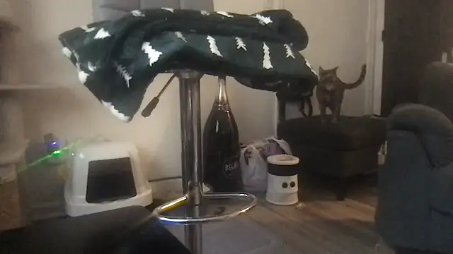 Snapshot of SpunCandy chatting on March 20, 2026, 8:25 pm SpunCandy online show from March 20, 2026, 8:25 pm