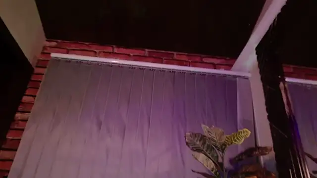 Snapshot of SeleneeEvanss chatting on October 31, 2025, 11:28 pm SeleneeEvanss online show from October 31, 2025, 11:28 pm