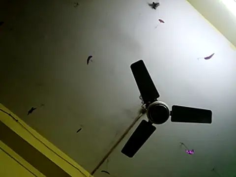 Snapshot of Sexyranibhabhi chatting on December 14, 2025, 2:17 am Sexyranibhabhi online show from December 14, 2025, 2:17 am