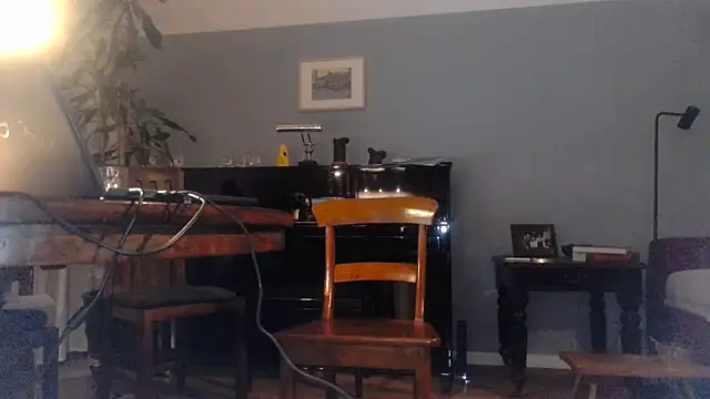 Snapshot of RolfS chatting on January 25, 2025, 11:22 pm RolfS online show from January 25, 2025, 11:22 pm