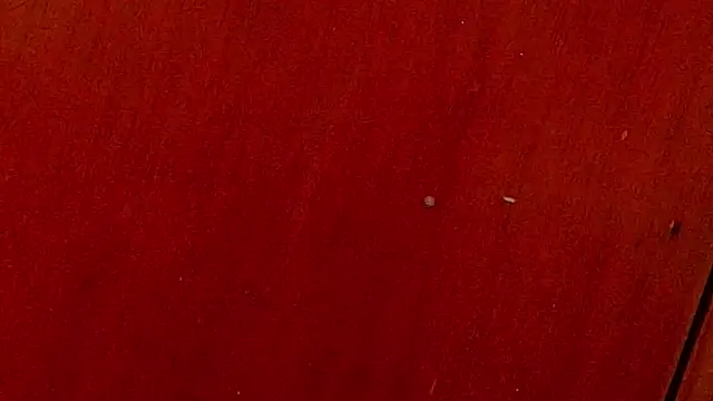 anisha x online show from October 4, 2025, 7:12 pm