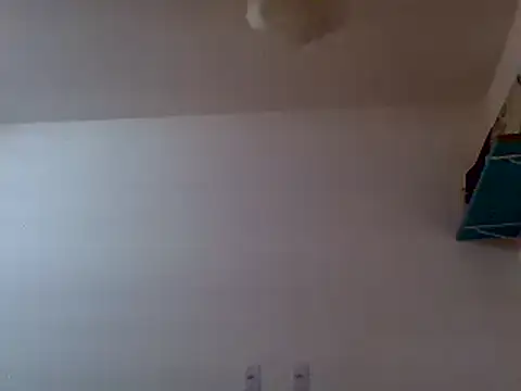 couplemilk online show from February 6, 2025, 4:42 am