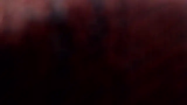 1BECHA1 online show from March 5, 2026, 2:35 pm