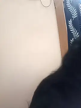 Anjali 88 online show from December 22, 2025, 9:50 am