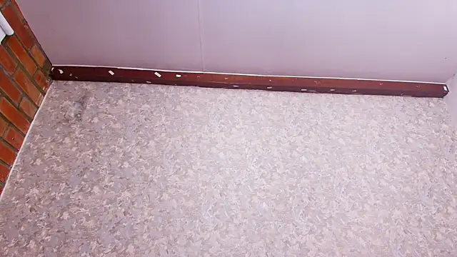 Snapshot of nicol_f chatting on February 5, 2025, 1:26 am nicol f online show from February 5, 2025, 1:26 am