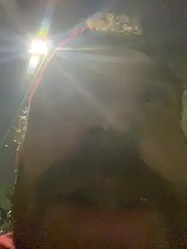 PocoLoco420 online show from June 25, 2026, 1:05 am