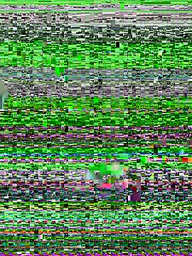 Snapshot of YawlingJingoist chatting on March 19, 2026, 11:20 pm YawlingJingoist online show from March 19, 2026, 11:20 pm