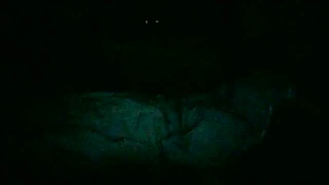 DI4MOND FIR3 online show from November 28, 2025, 12:24 am