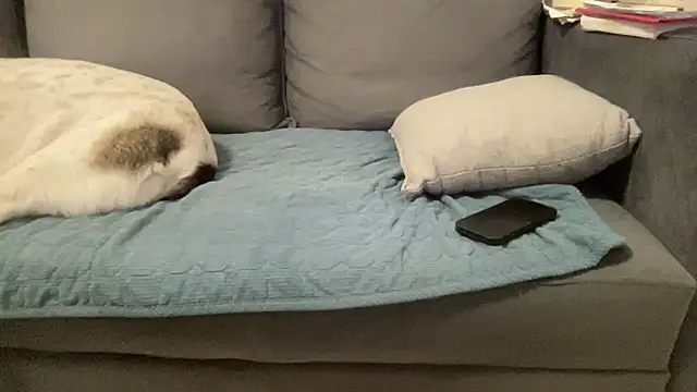 4small4inchlol online show from July 8, 2026, 8:46 pm