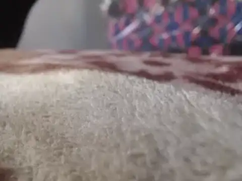 Snapshot of hoittytoittyxx chatting on March 3, 2025, 3:20 pm hoittytoittyxx online show from March 3, 2025, 3:20 pm