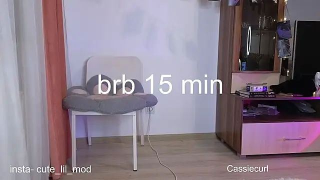 art phoenix online show from March 7, 2025, 9:06 pm