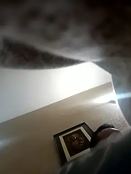 Snapshot of Porco81cazzo chatting on January 5, 2026, 6:33 pm Porco81cazzo online show from January 5, 2026, 6:33 pm