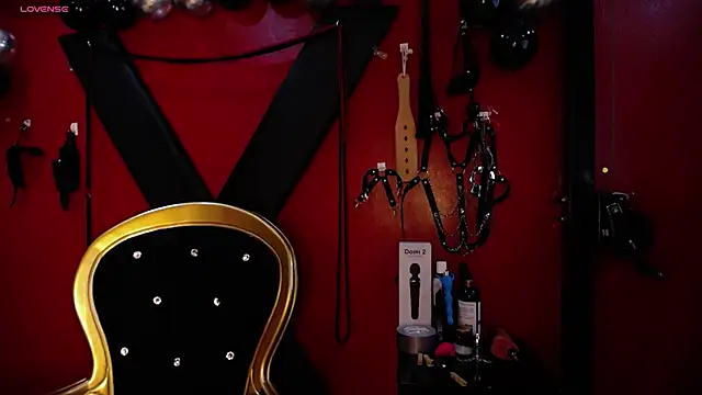 Snapshot of alexa_n_alex chatting on February 20, 2025, 11:10 pm alexa n alex online show from February 20, 2025, 11:10 pm