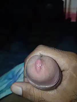 taylorWiiz online show from February 8, 2026, 3:15 pm