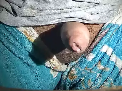 MyOsitobebe online show from February 8, 2026, 7:39 pm