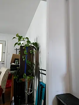 Snapshot of QcMisterv13 chatting on September 30, 2025, 2:22 pm QcMisterv13 online show from September 30, 2025, 2:22 pm