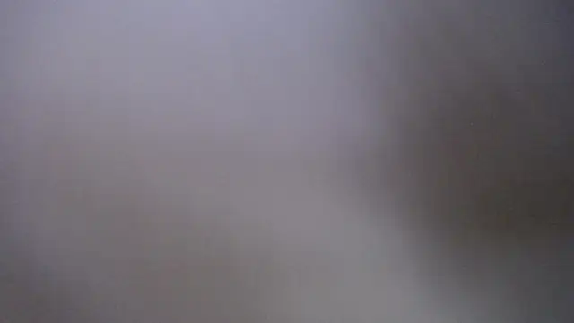 Andy Joy  online show from March 13, 2026, 10:33 am