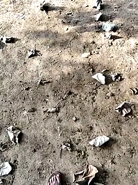 Snapshot of Ishan003 chatting on September 12, 2025, 1:38 am Ishan003 online show from September 12, 2025, 1:38 am