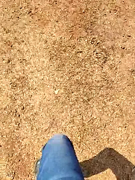 Ishan003 online show from February 8, 2026, 5:22 am